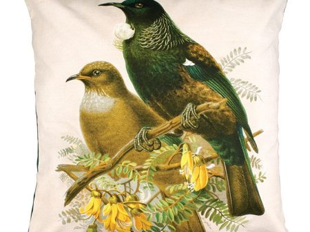 Cushion Cover - Tui Bird For Cheap