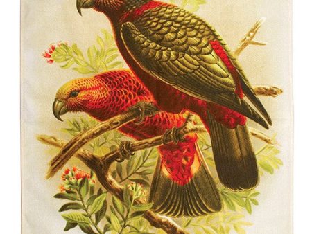 Kaka Parrot Prestige Tea Towel Supply