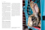 Storey s Guide to Raising Rabbits, 5th Edition: Breeds, Care, Housing - by Bob Bennet Fashion