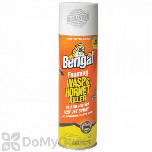 Bengal - Foaming Wasp and Hornet Spray For Cheap