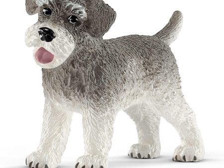 Schleich - Miniature Schnauzer Online Sale