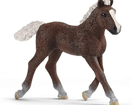 Schleich - Black Forest Foal on Sale