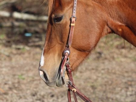 DM Tack Latigo Roping Reins w  Rawhide Knots Online