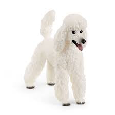 Schleich - Poodle Cheap