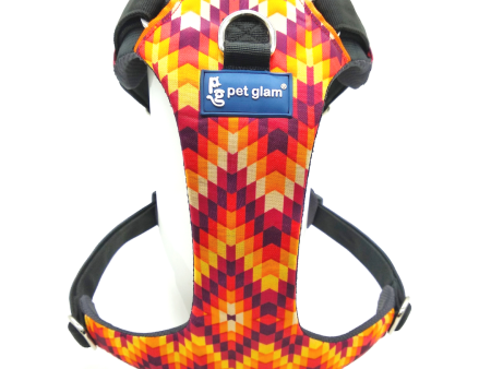 Pet Glam Harness for Dogs BLAZE For Discount