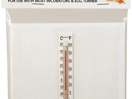 Little Giant - Incubation Thermometer For Sale