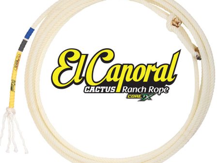 El Caporal For Sale