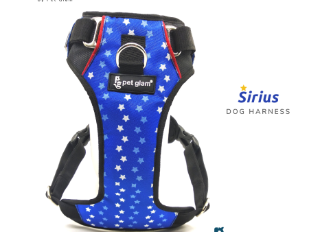 Dog Harness Sirius-Adjustable Harness for Dogs Supply