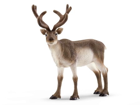 Schleich - Reindeer Online Hot Sale