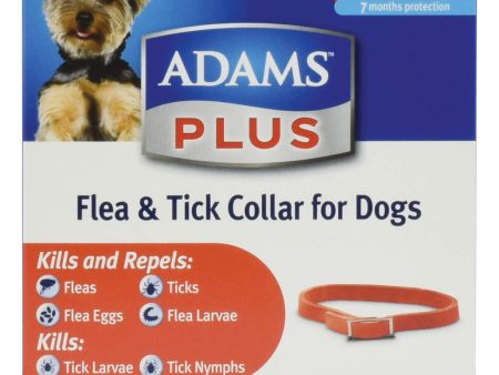 Adams Plus Flea & Tick Collar for Dogs Online