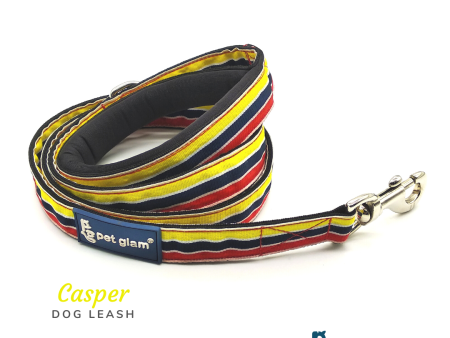 Dog Leash CASPER-for Small Medium Large Dogs-with Padded Handle-5 Ft Long 1 inch Wide Supply