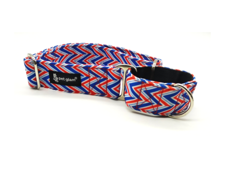 Martingale Dog Collar-Freedom 1.5 inch Wide For Sale