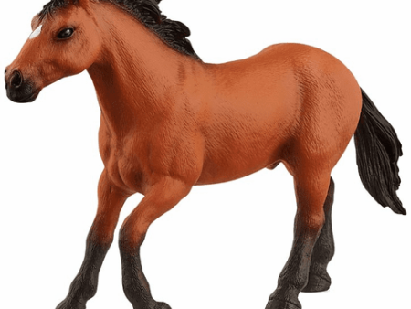 Schleich - Appaloosa Stallion on Sale