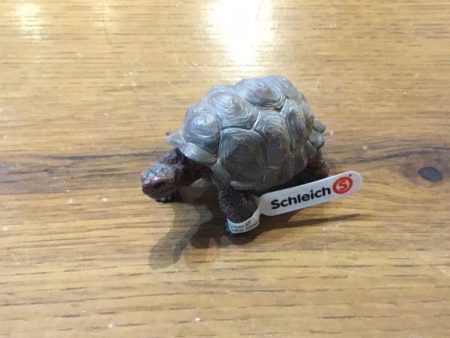 Schleich - Giant Tortoise on Sale