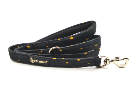 Pet Glam-Dog Leash Orion Large-with Padded Handle 1  wide - Leash for Big Dogs Cheap