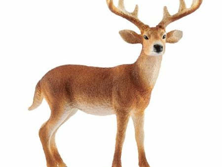 Schleich - White Tailed Buck For Discount