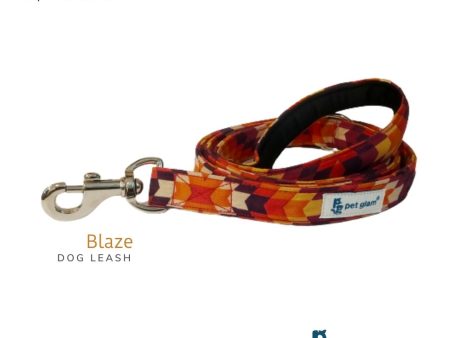 Pet Glam-Dog Leash For Puppies and Large Dogs-Blaze-Soft Handle-Strong Dog Leash-5 Ft Long 1 inch Wide-Sprint Sale