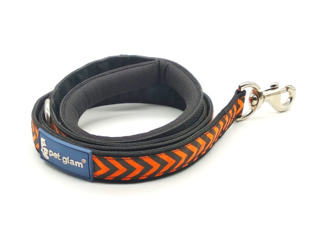 Leash for Dogs TRAIL- Strong Dog Leash for big dogs Cheap