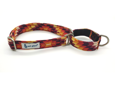 Martingale Dog Collar-BLAZE on Sale