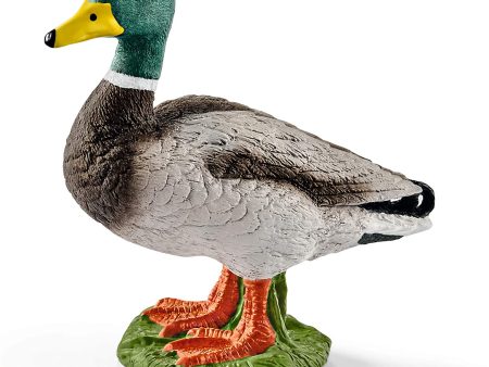 Schleich - Drake on Sale