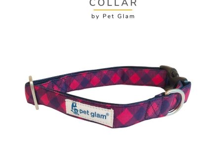 Bailey-Dog Collar For Beagles, Lhasa, Labs, Retrievers For Sale