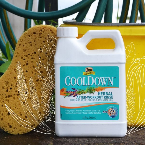 Absorbine® CoolDown® Online Hot Sale