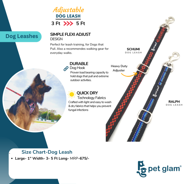 Pet Glam Adjustable Dog Leash for Dog Training and Pet Walks-Ralph- 1 Wide 3-5 Feet Long Online Sale