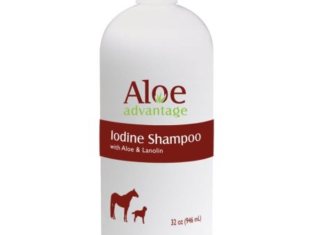 ALOE ADVANTAGE IODINE SHAMPOO Online