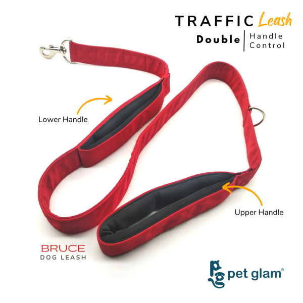 Pet Glam Traffic Dog Leash BRUCE with Padded Handle-Heavy Duty Hardware-5 Ft Long X-Large 1.5 inch Wide Cheap