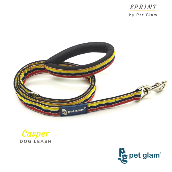 Dog Leash CASPER-for Small Medium Large Dogs-with Padded Handle-5 Ft Long 1 inch Wide Supply