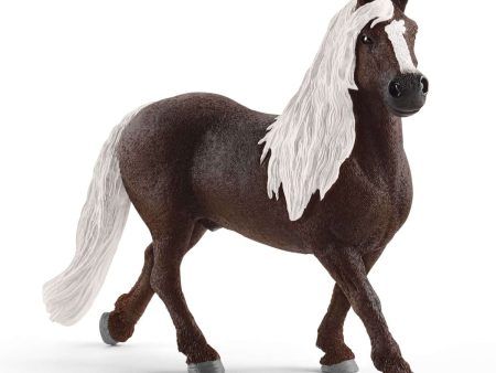 Schleich - Black Forest Stallion For Cheap