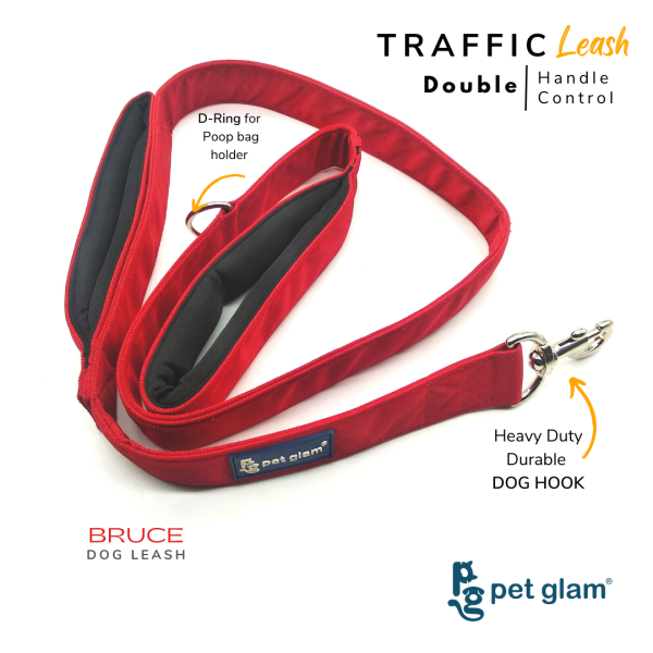 Pet Glam Traffic Dog Leash BRUCE with Padded Handle-Heavy Duty Hardware-5 Ft Long X-Large 1.5 inch Wide Cheap