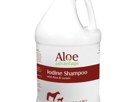 ALOE ADVANTAGE IODINE SHAMPOO For Discount