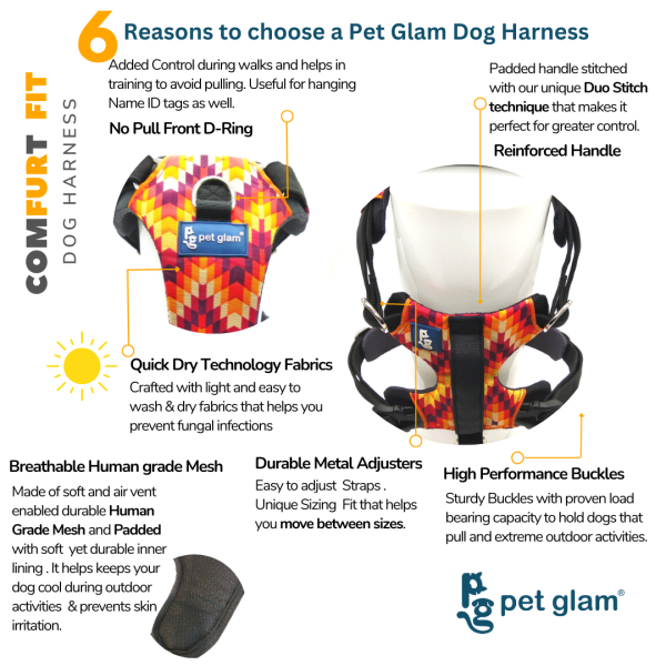 Pet Glam Harness for Dogs BLAZE For Discount