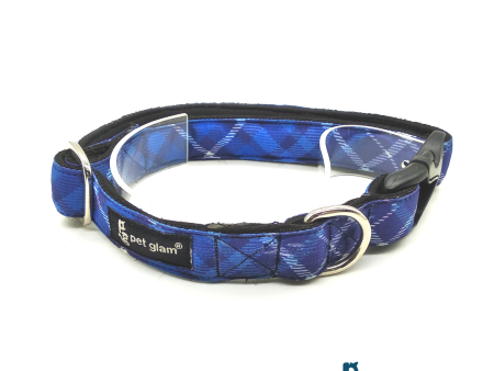 Dog Collar for Puppies, Labs, Golden Retrievers GSD Beagles Huskies Indies CHIEF Online Hot Sale