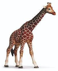 Schleich- Giraffe Male Online Sale