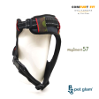 Pet Glam Dog Harness Regiment 57 Hot on Sale