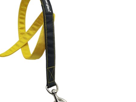 Pet Glam-Dog Leash Bumble 5Ft long Hot on Sale