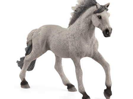 Schleich - Sorraia Mustang Stallion Supply