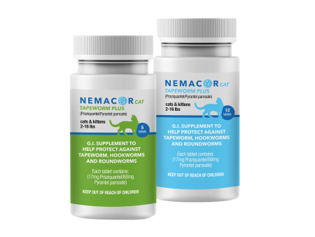 Nemacor Cat Tapeworm Plus on Sale