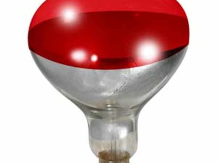 Little Giant - Heat Lamp Bulb Hot on Sale