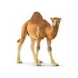 Schleich - Camel Supply